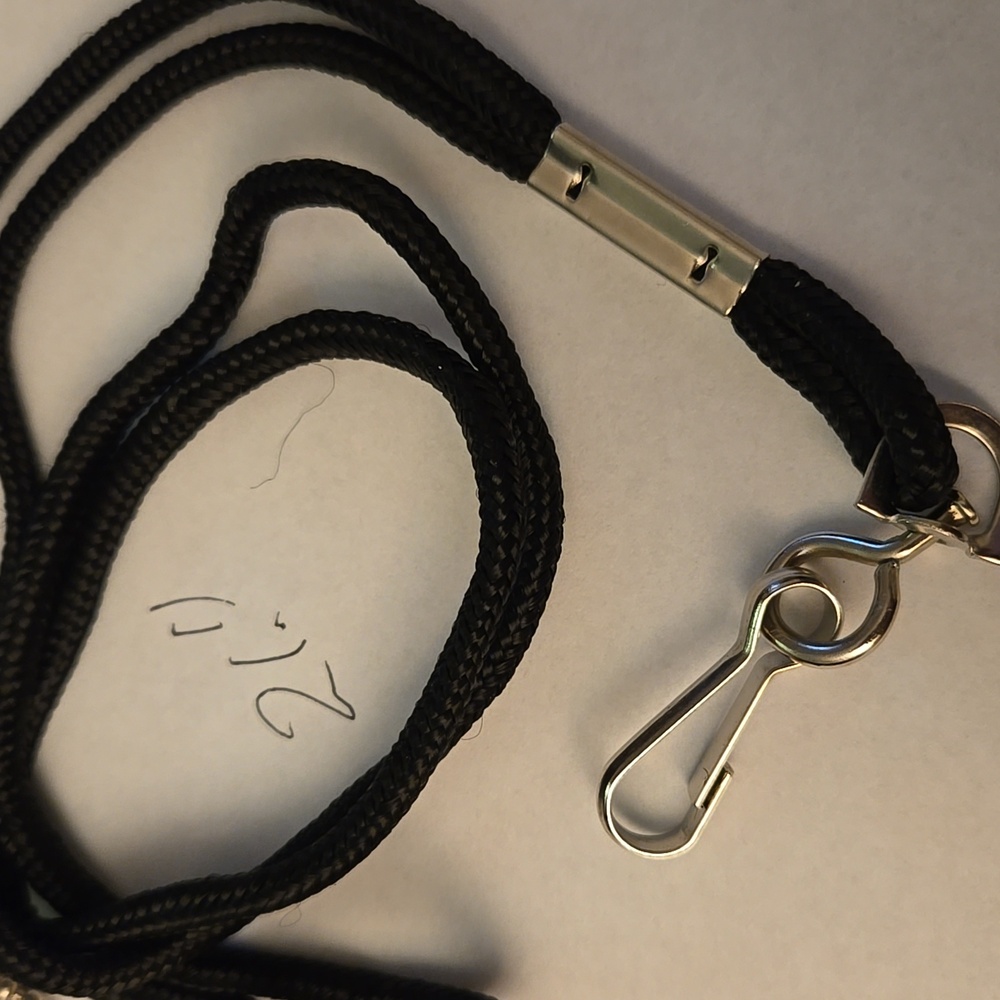 Assorted Keychains and Lanyards - Picture 3 of 8